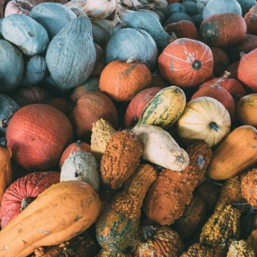 Your Kitchen’s Autumn Revival