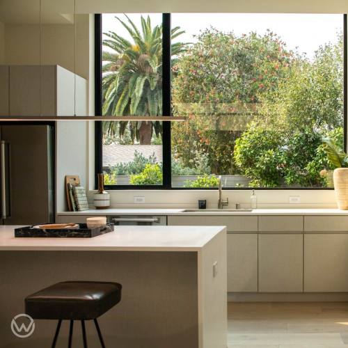 10 kitchen plants to clean the air and promote productivity